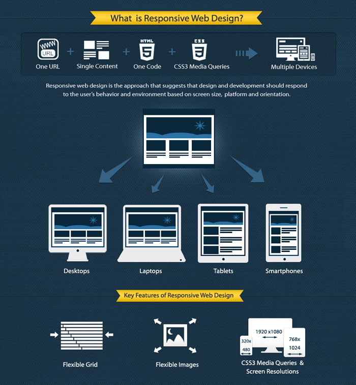 responsive-web-design-infographic-des1