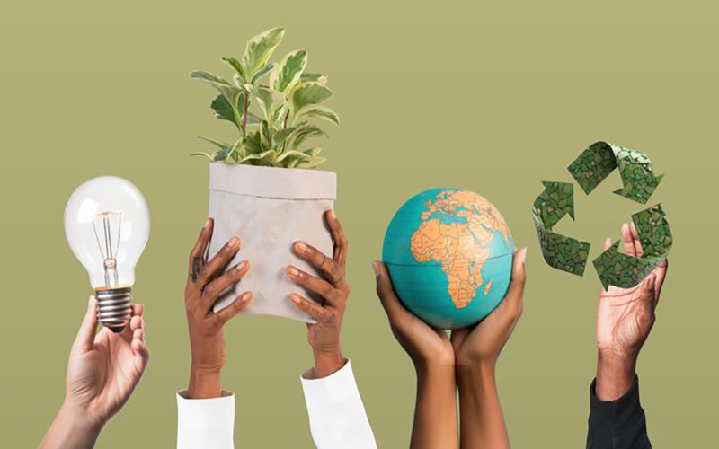 The Rise of Sustainable Business Practices: Why Going Green is the Future
